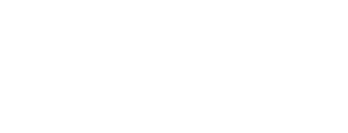 PCI DSS